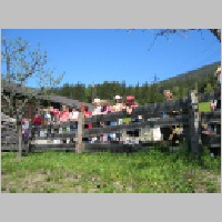 bauernhof_1a16.JPG
